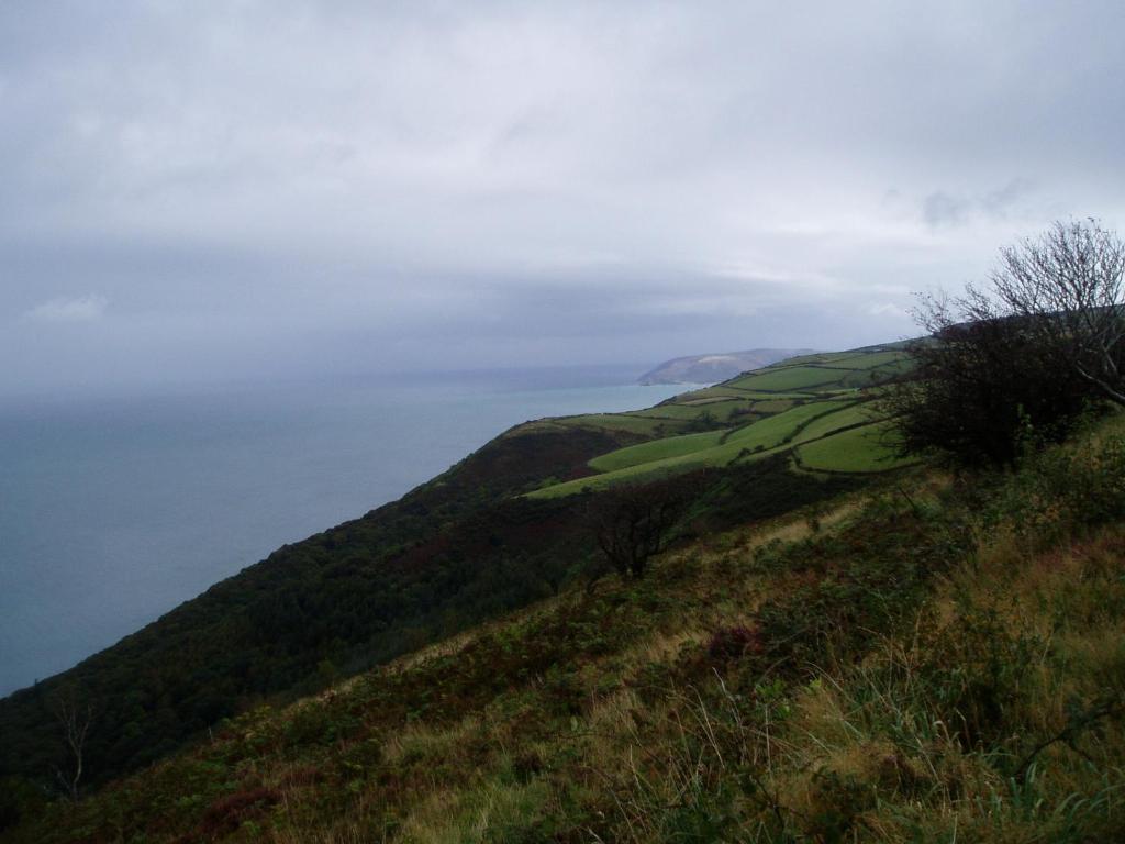 Wilsham Farm Bed & Breakfast Lynton Luaran gambar