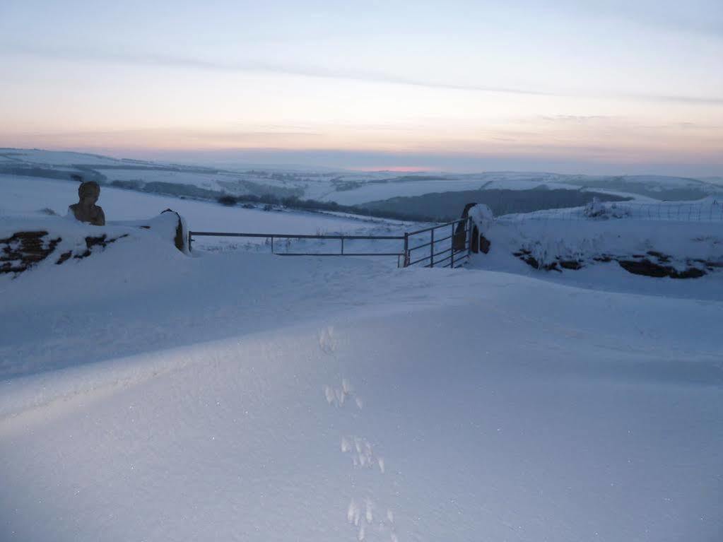 Wilsham Farm Bed & Breakfast Lynton Luaran gambar